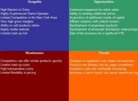 Indoor Playground SWOT Analysis Plus Business Plan